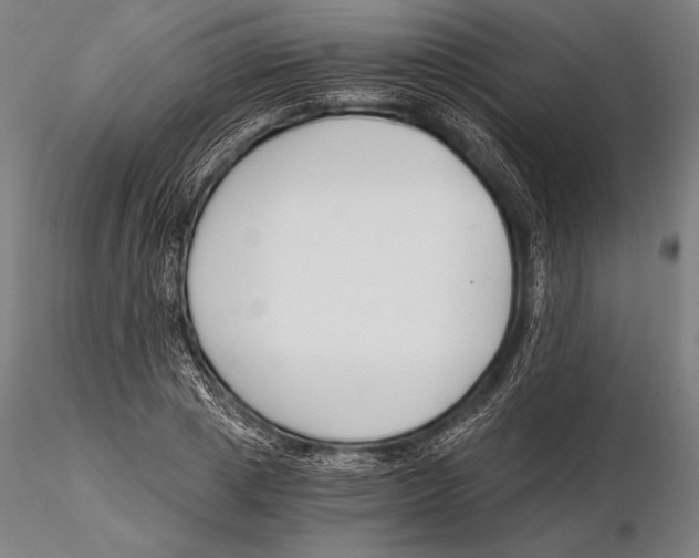 X0000115480833200912040951