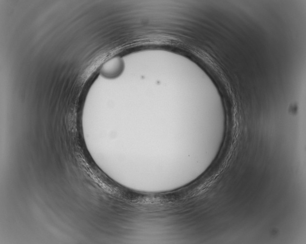 X0000115480834200912040951