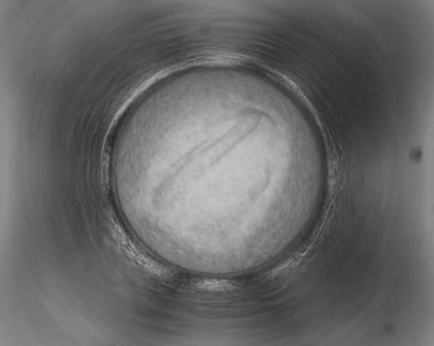 X0000115480835200912040951