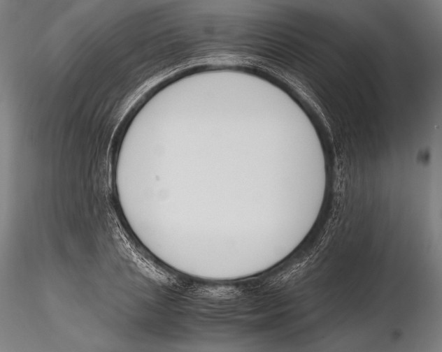 X0000115480837200912040951