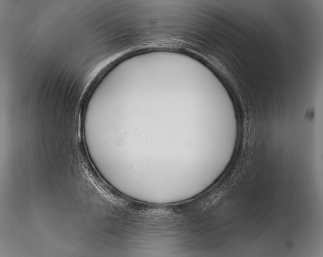 X0000115480838200912040951