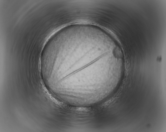 X0000115480839200912040951