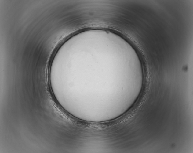 X0000115480840200912040951