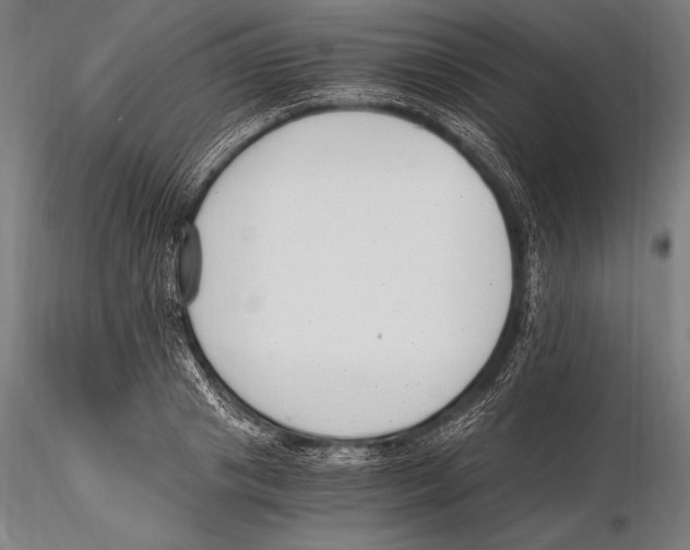 X0000115480841200912040951
