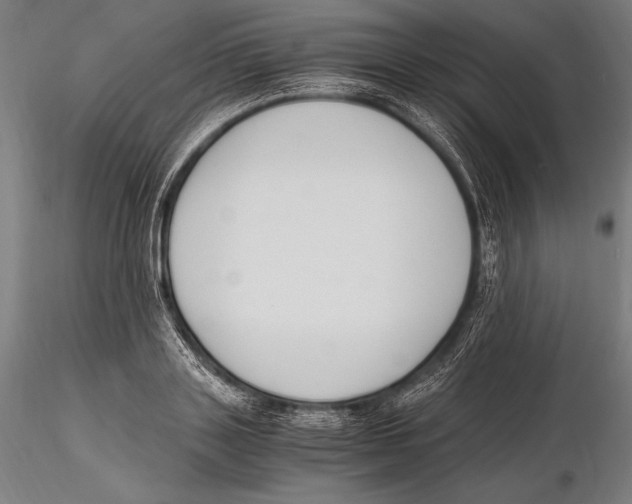 X0000115480843200912040951