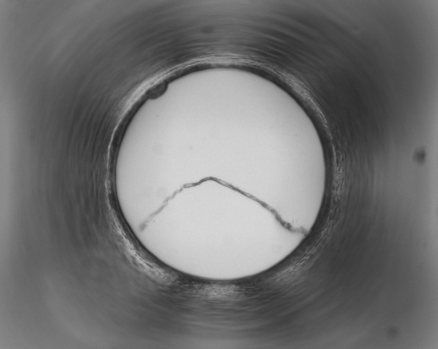 X0000115480845200912040951