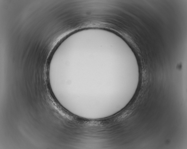 X0000115480846200912040951