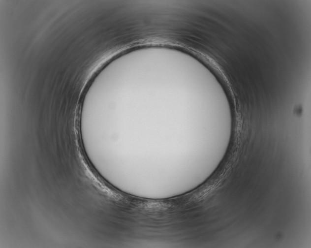 X0000115480847200912040951