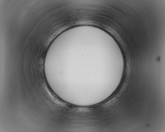 X0000115480849200912040951