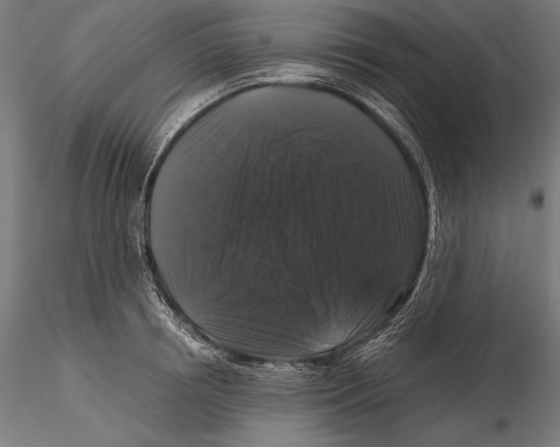 X0000115480850200912040951