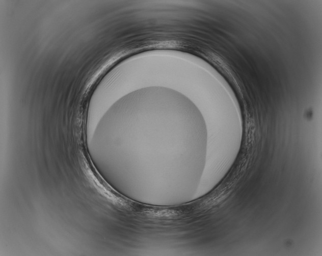 X0000115480851200912040951