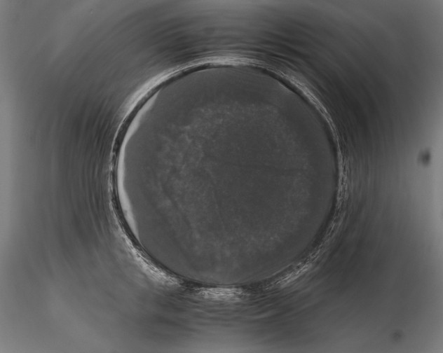 X0000115480853200912040951