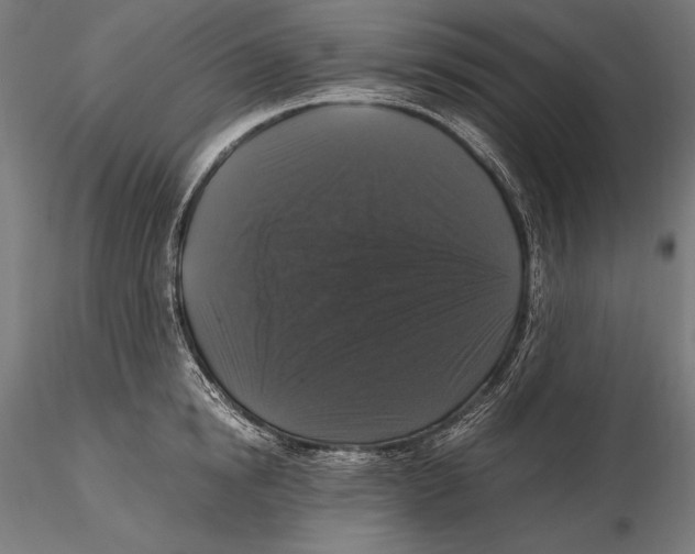 X0000115480854200912040951