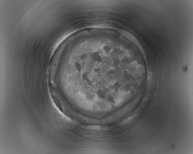 X0000115480855200912040951