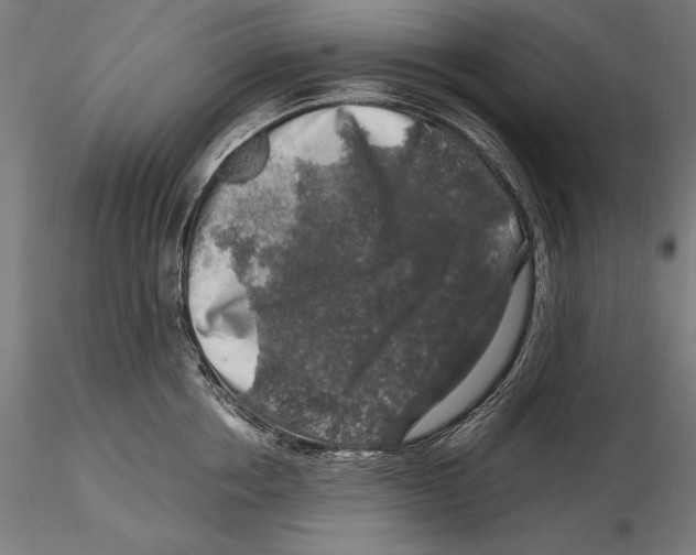 X0000115480858200912040951