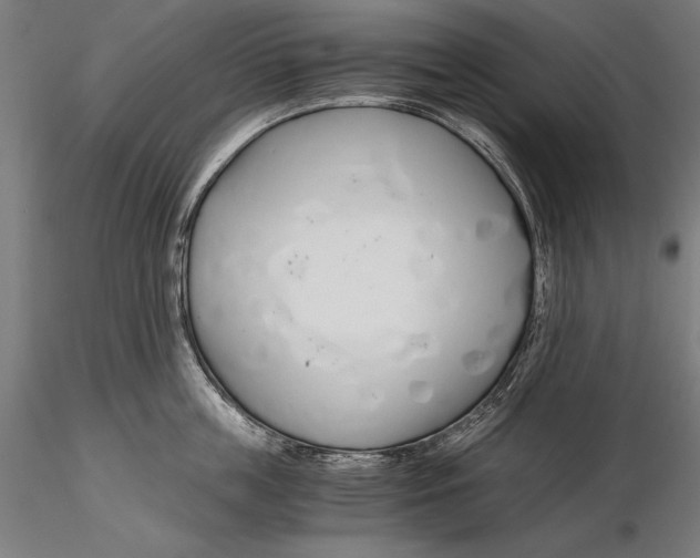 X0000115480859200912040951