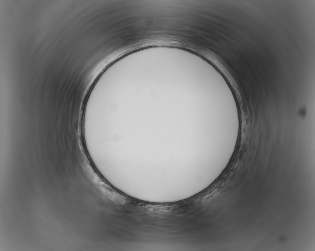 X0000115480861200912040951