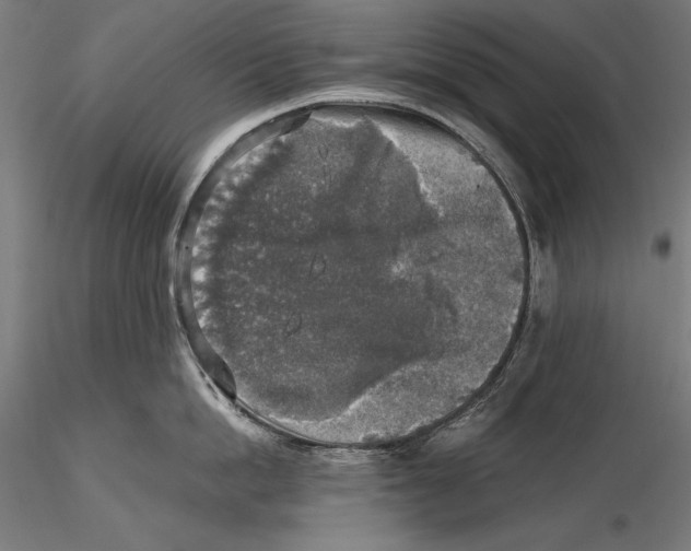 X0000115480862200912040951