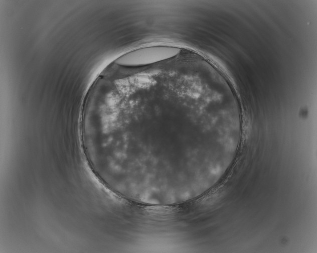 X0000115480863200912040951