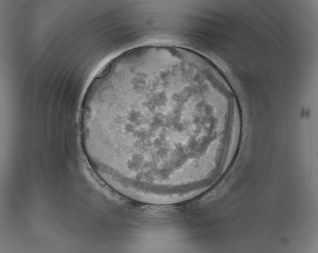 X0000115480864200912040951