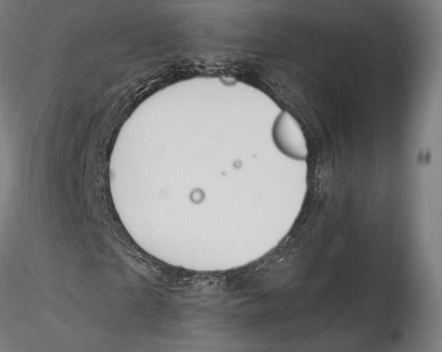 X0000115480865200912040950