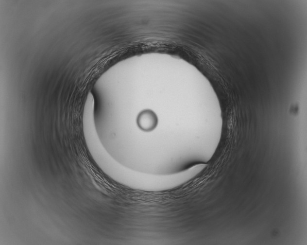 X0000115480868200912040950