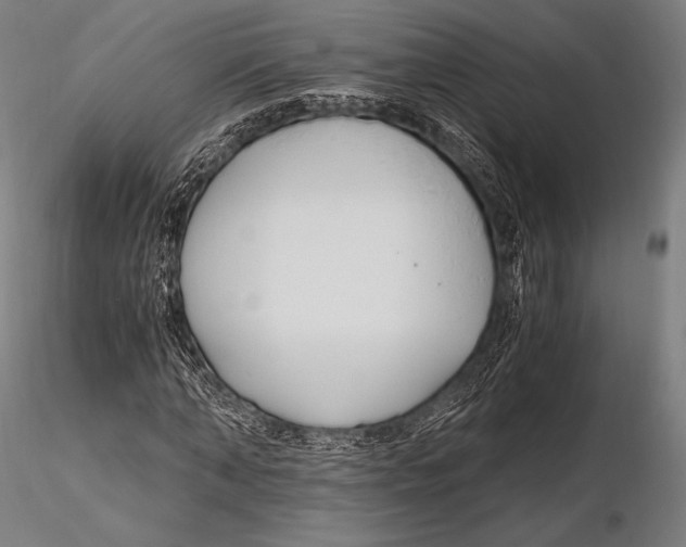 X0000115480870200912040950