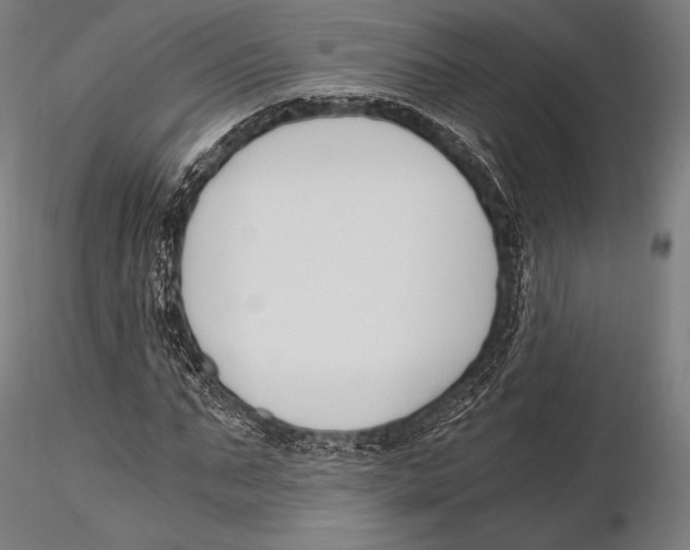 X0000115480871200912040950