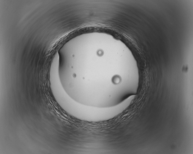 X0000115480872200912040950
