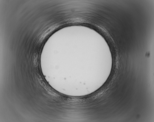 X0000115480873200912040950