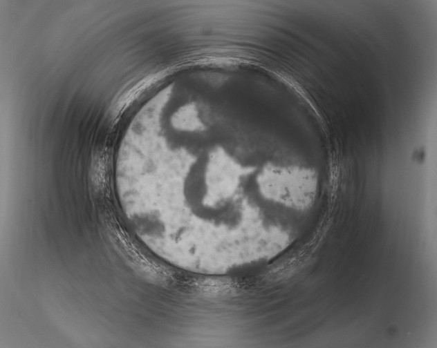 X0000115480874200912040950