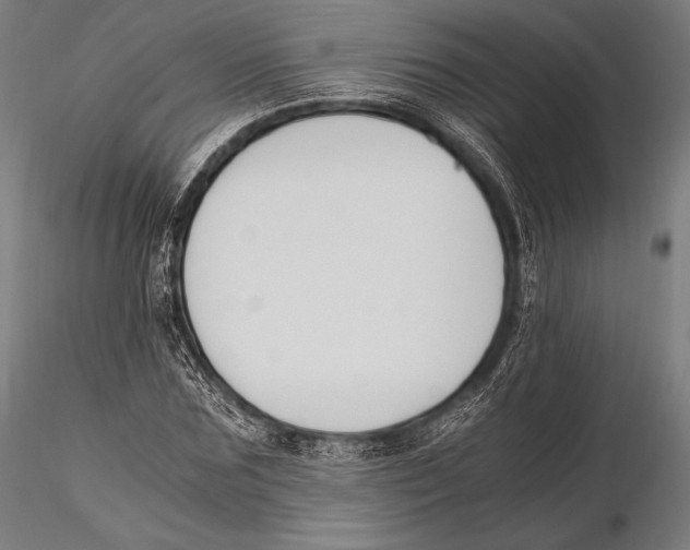 X0000115480875200912040950