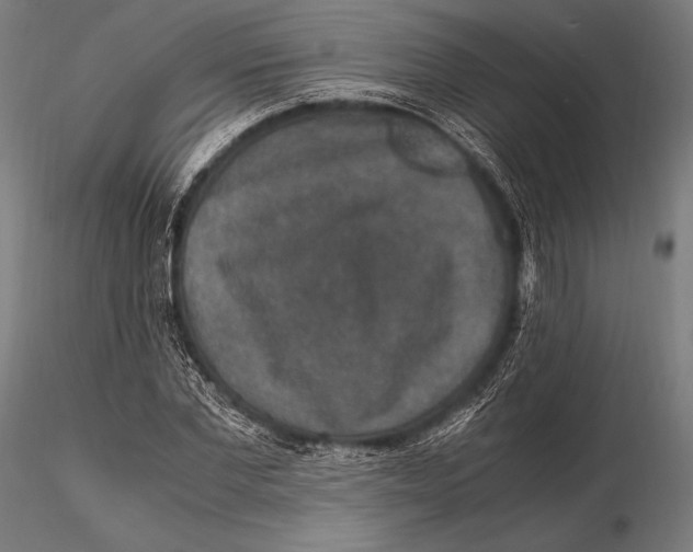 X0000115480877200912040950