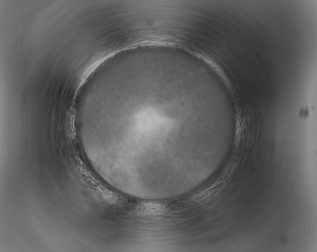 X0000115480878200912040950