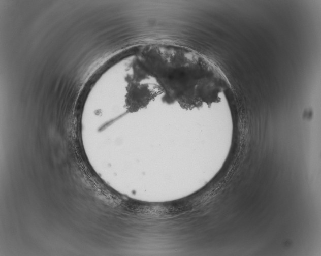 X0000115480879200912040950