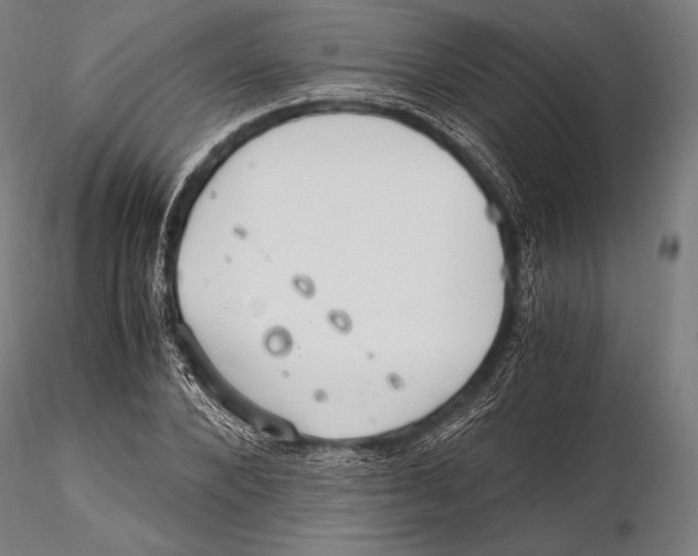 X0000115480880200912040950