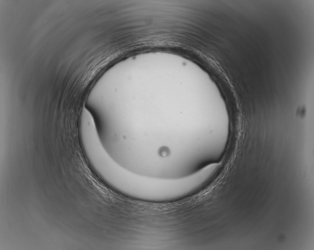 X0000115480881200912040950