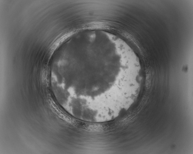 X0000115480882200912040950