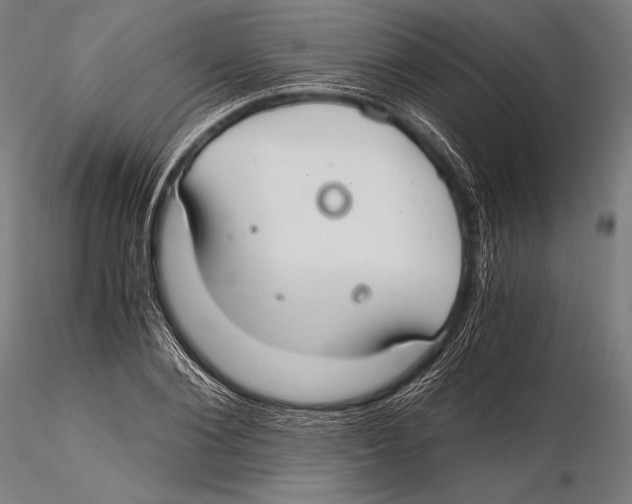 X0000115480884200912040950