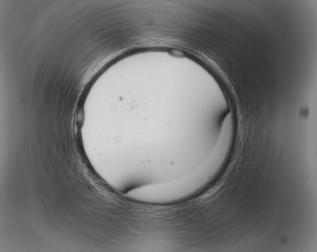 X0000115480885200912040950