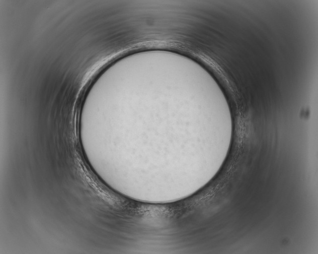 X0000115480886200912040950
