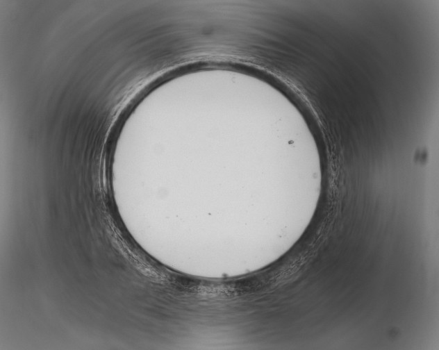 X0000115480887200912040950