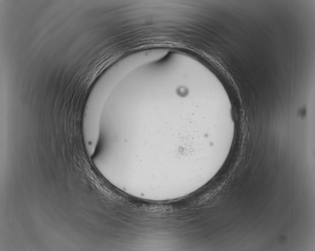 X0000115480889200912040950