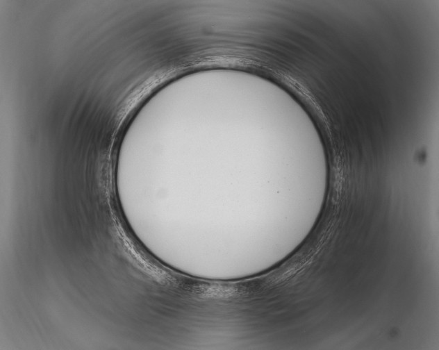 X0000115480890200912040950