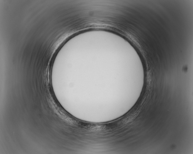 X0000115480891200912040950