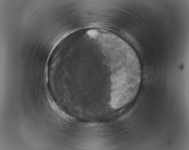 X0000115480892200912040950