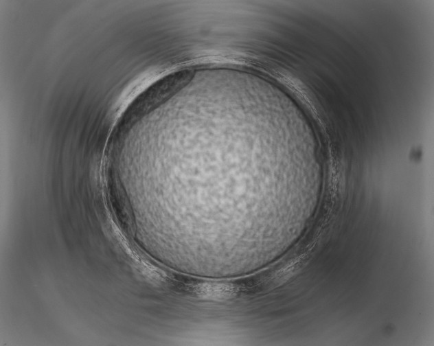 X0000115480893200912040950
