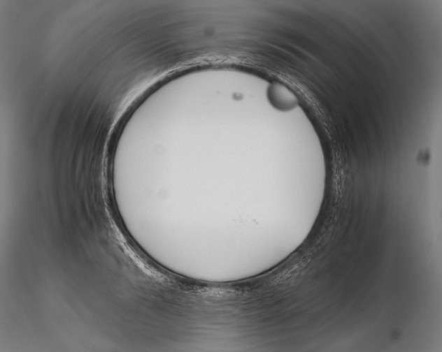 X0000115480894200912040950