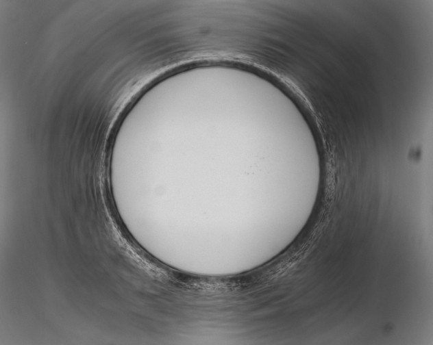 X0000115480895200912040950