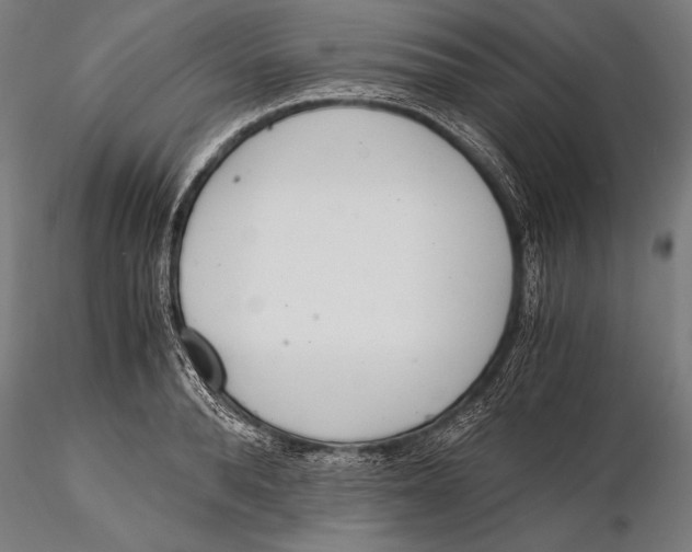 X0000115480896200912040950